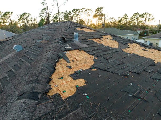 Best Cold Roofs  in Bayboro, NC